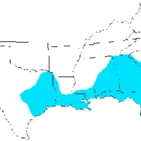 thumbnail for publication: Eastern Lubber Grasshopper, Romalea microptera (Beauvois) (Insecta: Orthoptera: Acrididae)